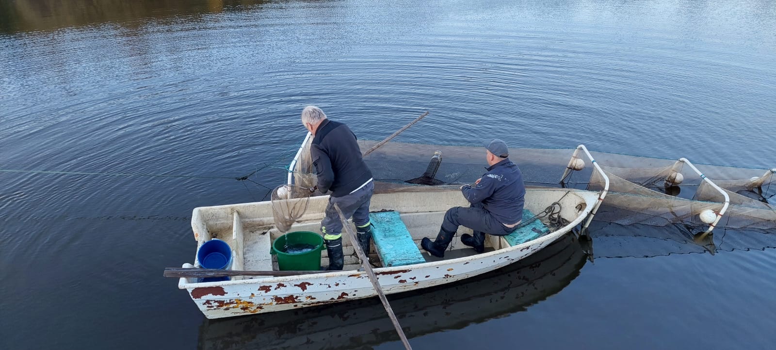 Kalankasvattaja työssään
